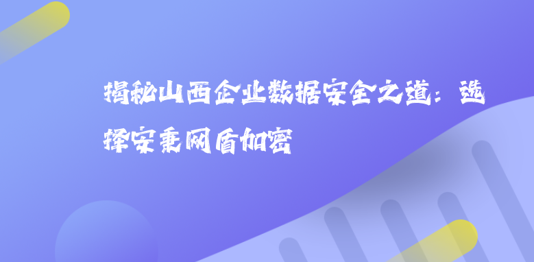 揭秘山西企业数据安全之道：选择安秉网盾加密